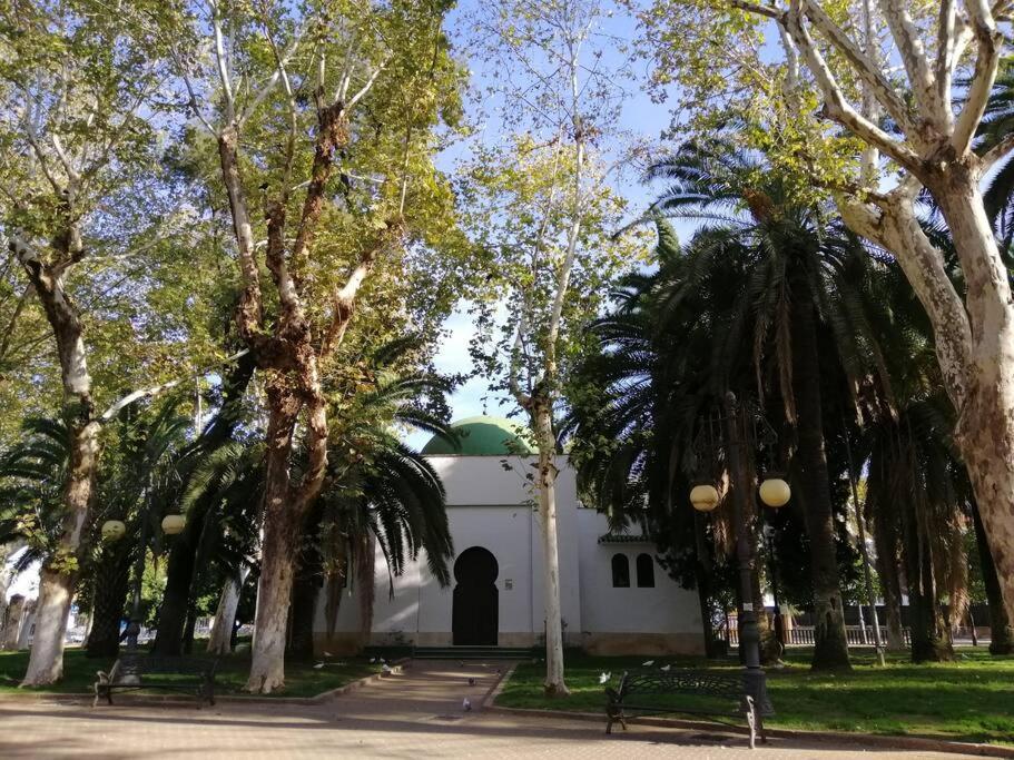 Trotamundos, Apartamento Nuevo En El Centro Cordova Esterno foto