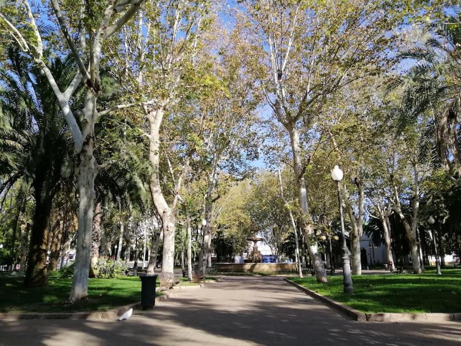 Trotamundos, Apartamento Nuevo En El Centro Cordova Esterno foto
