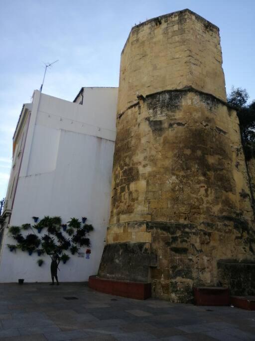 Trotamundos, Apartamento Nuevo En El Centro Cordova Esterno foto
